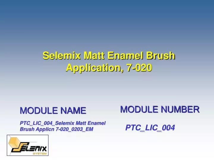 selemix matt enamel brush application 7 020