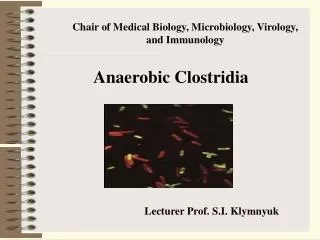 Anaerobic Clostridia