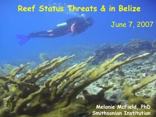 Reef Status Threats &amp; in Belize