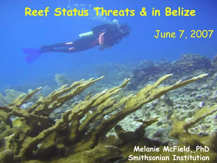 reef status threats in belize