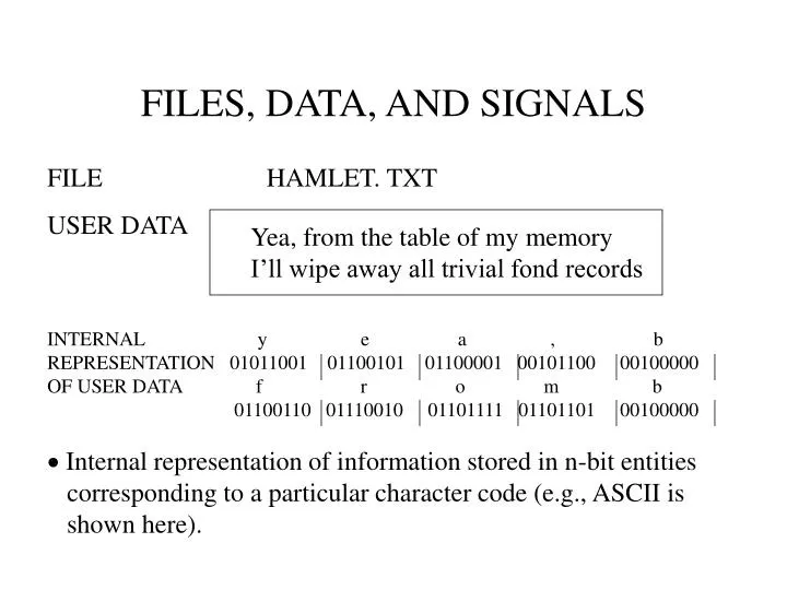 files data and signals