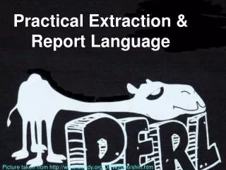 Practical Extraction &amp; Report Language