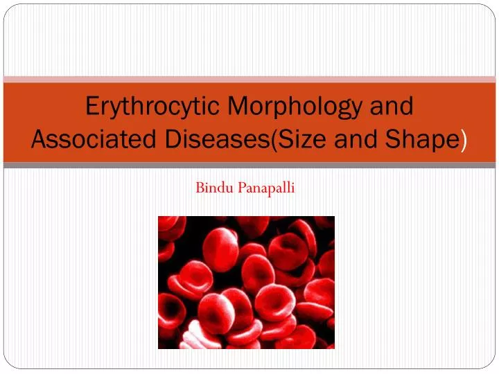 erythrocytic morphology and associated diseases size and shape