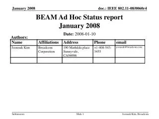 BEAM Ad Hoc Status report January 2008