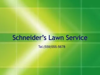 Schneider’s Lawn Service
