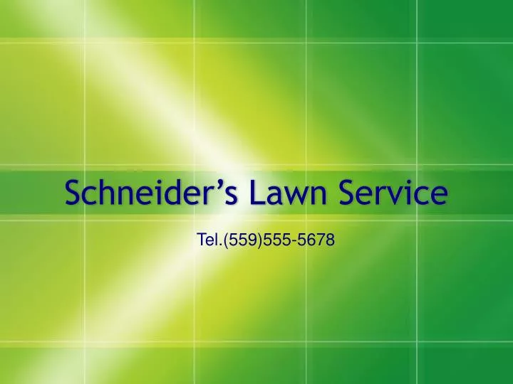 schneider s lawn service