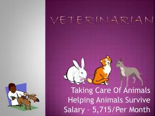 Veterinarian