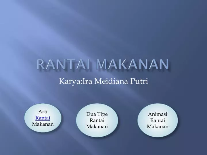 rantai makanan