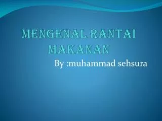 mengenal rantai makanan