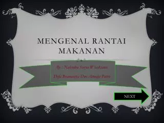 mengenal rantai makanan