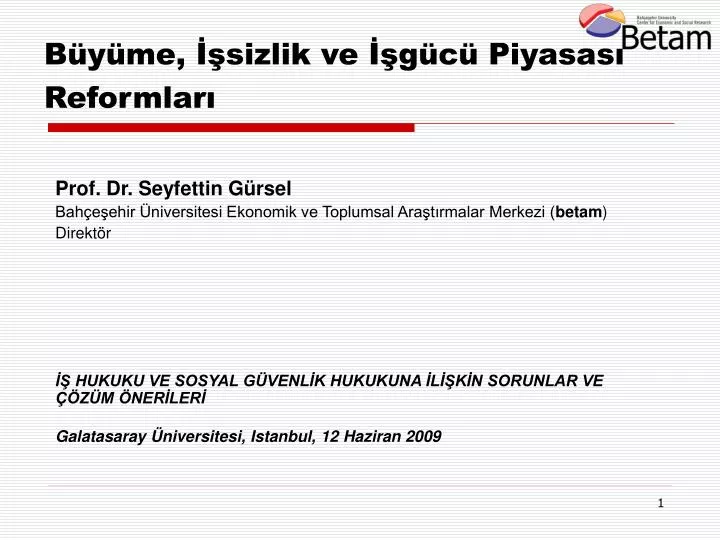 b y me sizlik ve g c piyasas reformlar