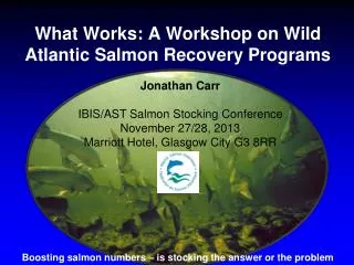 What Works: A Workshop on Wild Atlantic Salmon Recovery Programs