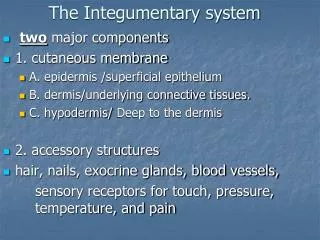 The Integumentary system