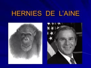hernies de l aine