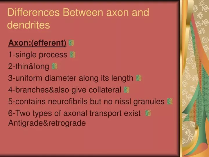 differences between axon and dendrites