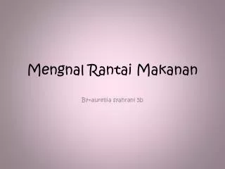 mengnal rantai makanan