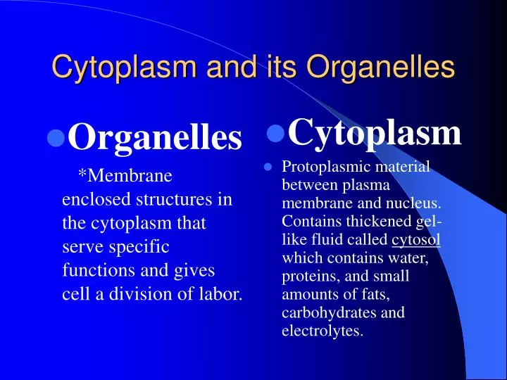 cytoplasm and its organelles