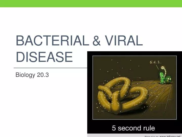bacterial viral disease