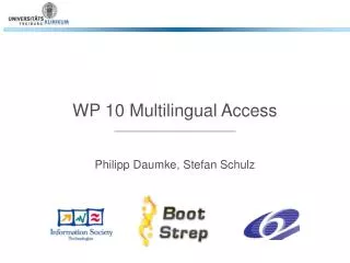 WP 10 Multilingual Access
