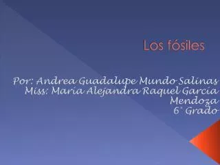 los f siles