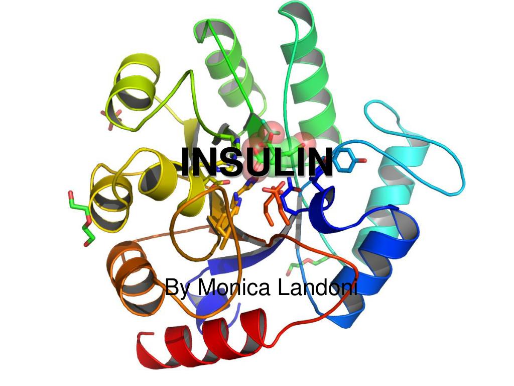 PPT - INSULIN PowerPoint Presentation, free download - ID:5918973