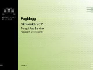 fagblogg
