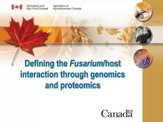 Defining the Fusarium /host interaction through genomics and proteomics