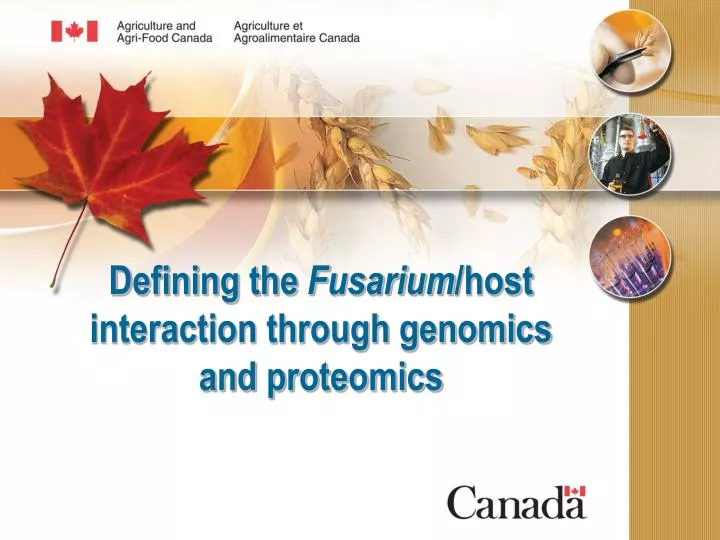 defining the fusarium host interaction through genomics and proteomics