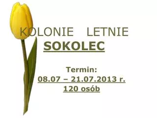 kolonie letnie sokolec
