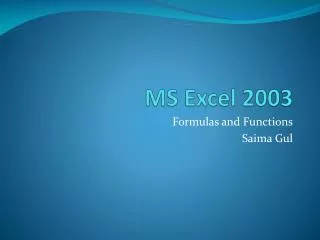 MS Excel 2003