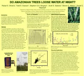 DO AMAZONIAN TREES LOOSE WATER AT NIGHT?