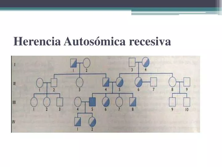 herencia autos mica recesiva