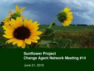 Sunflower Project Change Agent Network Meeting #14