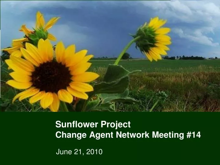 sunflower project change agent network meeting 14