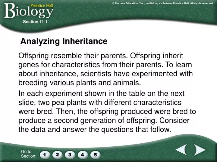 analyzing inheritance