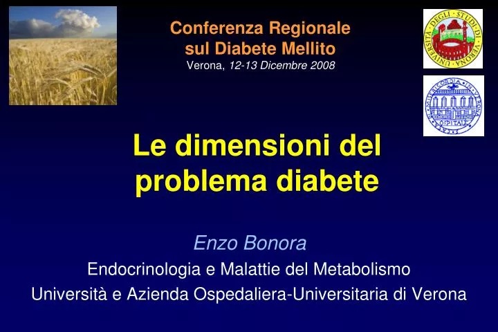 conferenza regionale sul diabete mellito verona 12 13 dicembre 2008