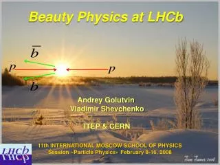 Beauty Physics at LHCb