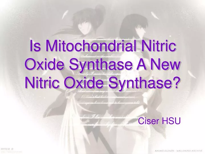 is mitochondrial nitric oxide synthase a new nitric oxide synthase