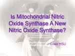 Is Mitochondrial Nitric Oxide Synthase A New Nitric Oxide Synthase? - slide 1