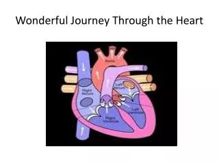 wonderful journey through the heart