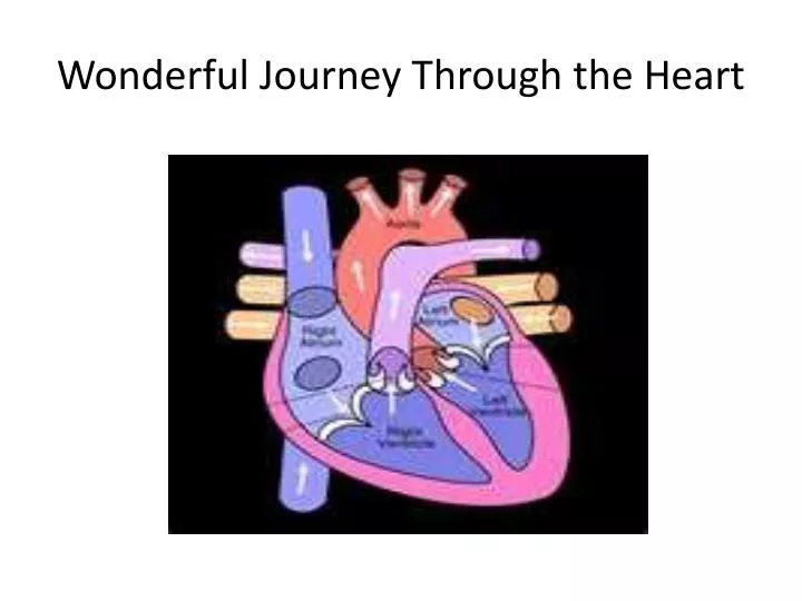 wonderful journey through the heart