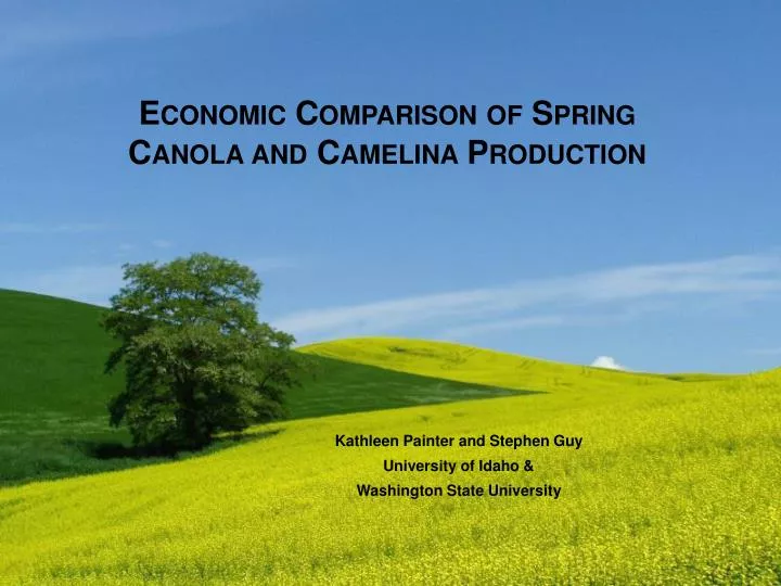 economic comparison of spring canola and camelina production