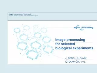 Image processing for selected biological experiments