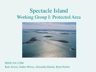 Spectacle Island Working Group I: Protected Area