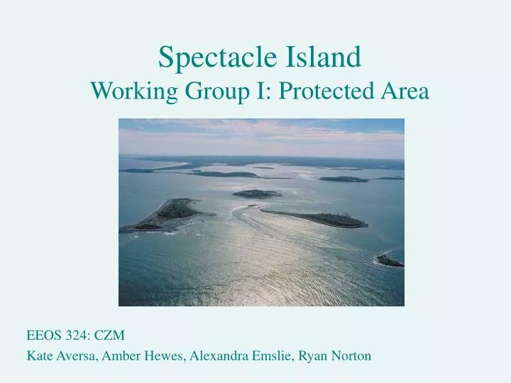 spectacle island working group i protected area