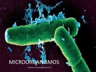 microorganismos
