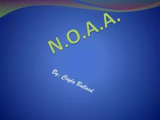 N.O.A.A.