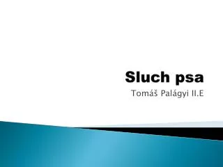 sluch psa