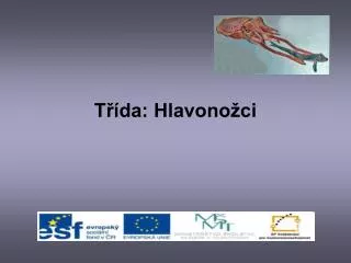t da hlavono ci