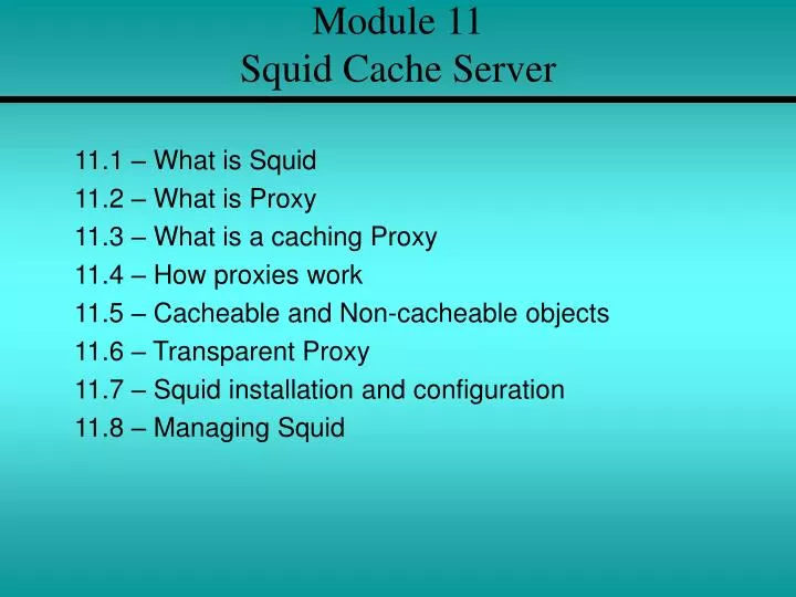 module 11 squid cache server